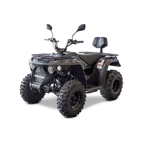 LINHAI M210 EFI